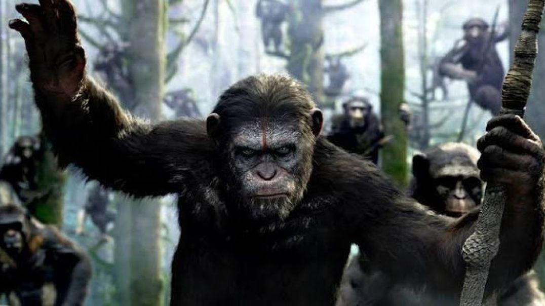⁣Dawn of the Planet of the Apes (2014)