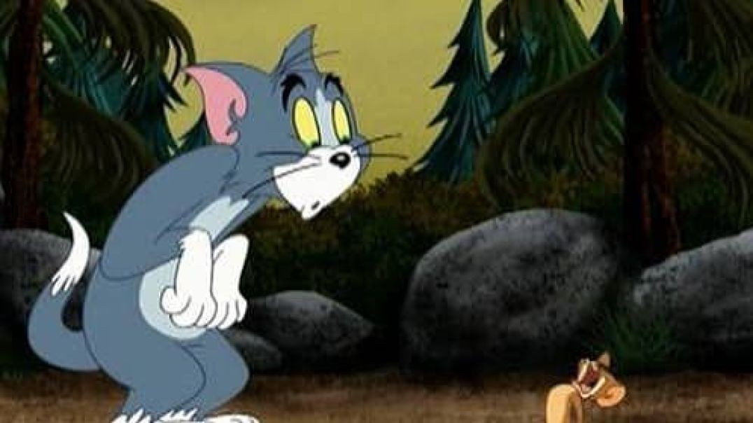 Tom and Jerry Tales (2006) - S1E4
